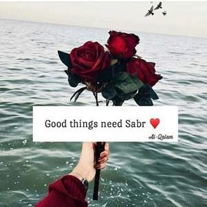 Meet your Posher, Amina